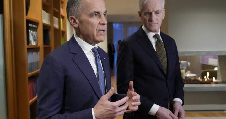 Canada, Nordic leaders aim to deepen ties as trade being used as ‘coercive tool’ – National