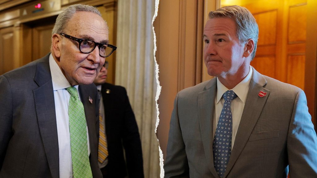 Democrats block standalone voter ID bill attempt on the Senate floor