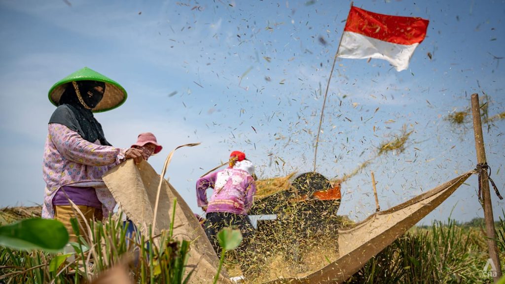 From farms to labs, Indonesia bets on better seeds to boost food security