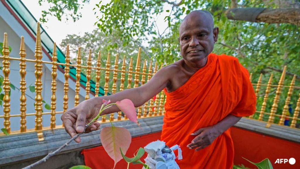 Sri Lanka’s top monk suspended over alleged child sex abuse