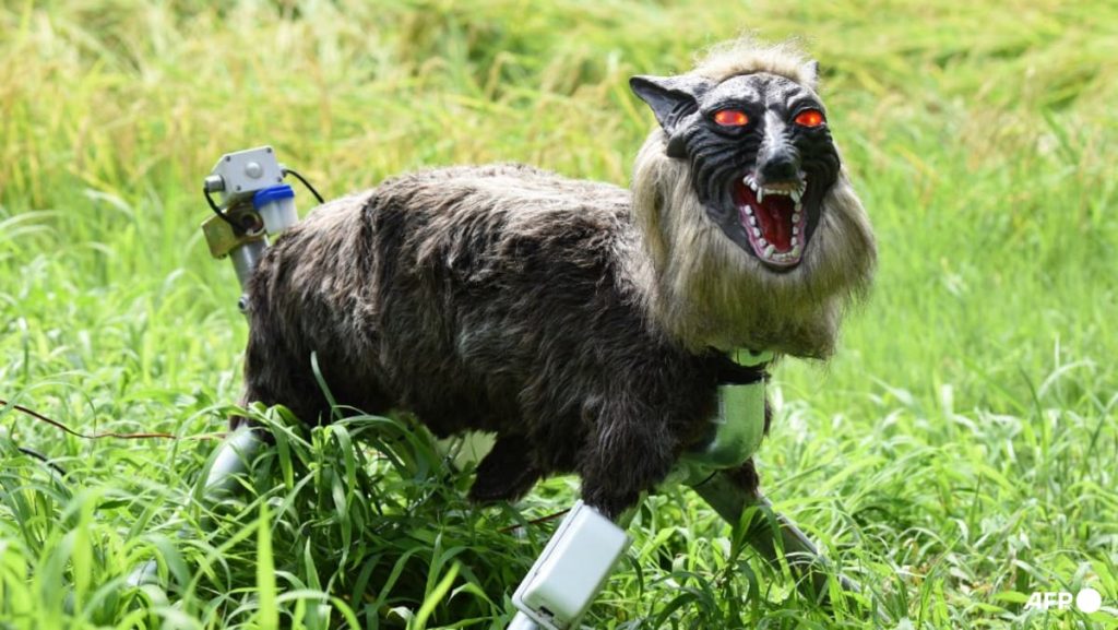 Japan ‘robot wolves’ in high demand to scare off bears