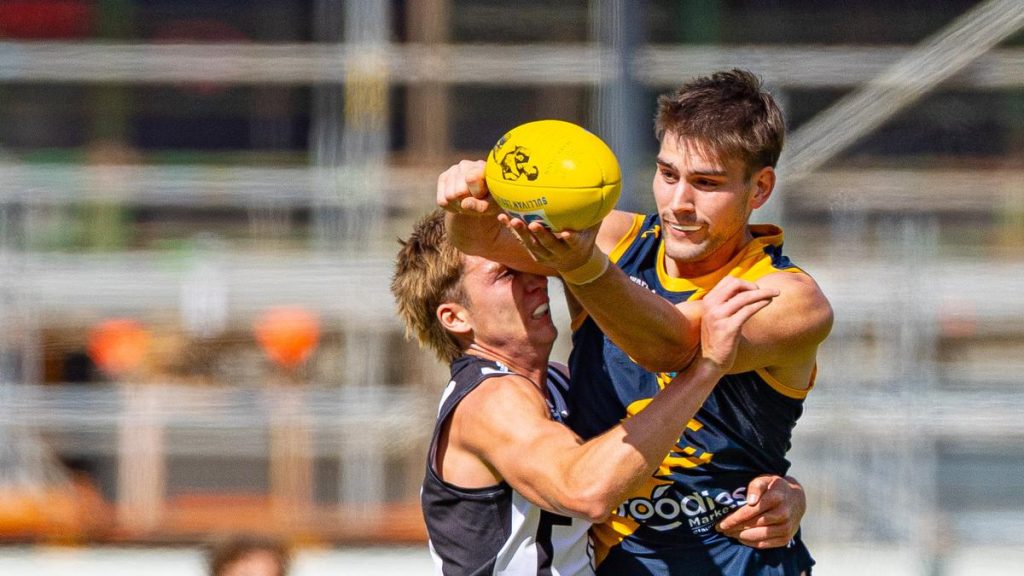 GSFL 2026: Claremont ruckman Kalin Lane and Boddington premiership star Zak Pretty sign with Denmark-Walpole