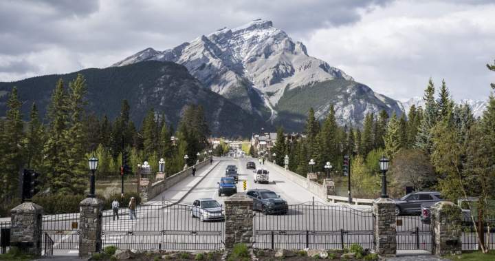 Canadian travel plans will hold steady despite higher energy costs: survey – National