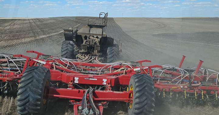 Saskatchewan seeding delayed by cold temperatures, wet soil but farmers undeterred