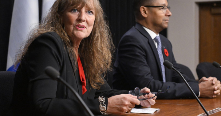 Progress, but work left to do in reform to Quebec youth protection system: minister – Montreal