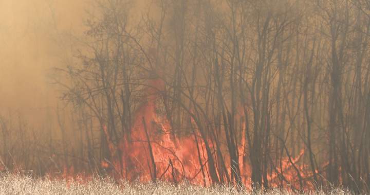 Saskatchewan officials urge caution as dry weather triggers wildfires – Regina