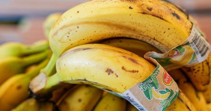 ‘Best before’ date labels behind $12B in waste as food bank demand spikes