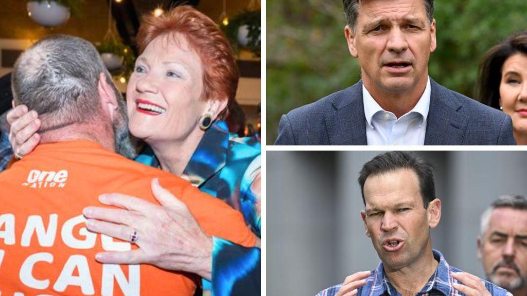 Pauline Hanson offers Coalition the numbers at 2028 election
