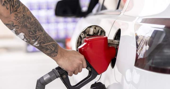 Conservatives push motion to scrap all federal gas taxes for rest of year – National