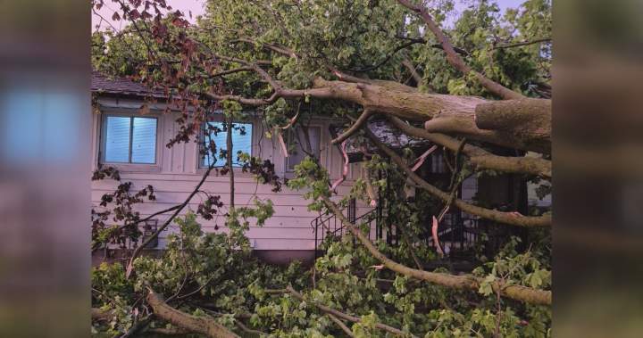 Canada has seen 8 tornadoes so far. How’s this season shaping up?