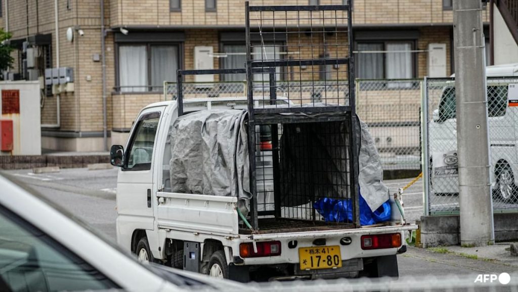Japan city relieved as bear caught after roaming streets for days