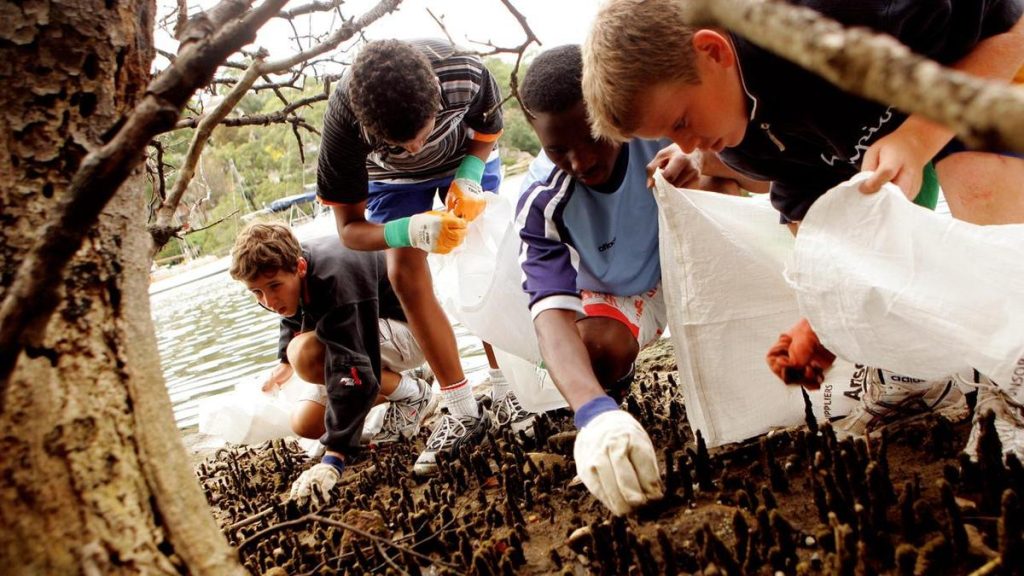 Climate education is patchy and teachers need help