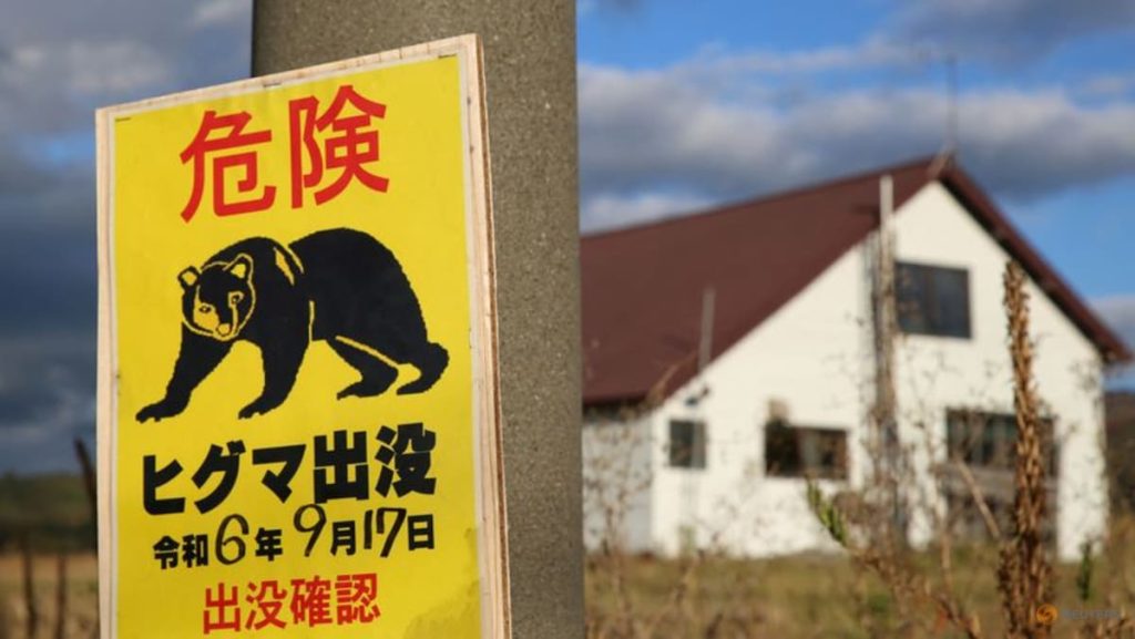 Schools in Tokyo suburb to get bear sprays
