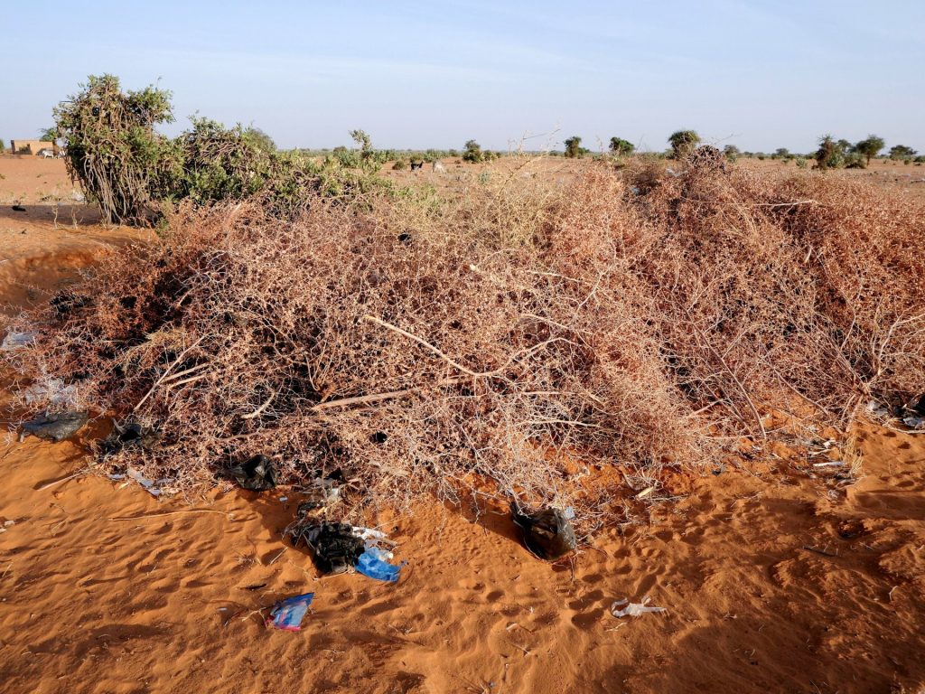 Rights group says drone strike kills 11 in central Sudan market | Sudan war News