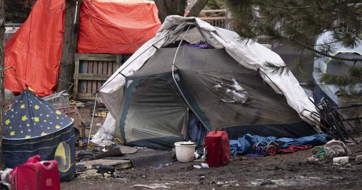 ‘A human being cannot exist nowhere’: Judge blocks eviction of Montreal encampment – Montreal