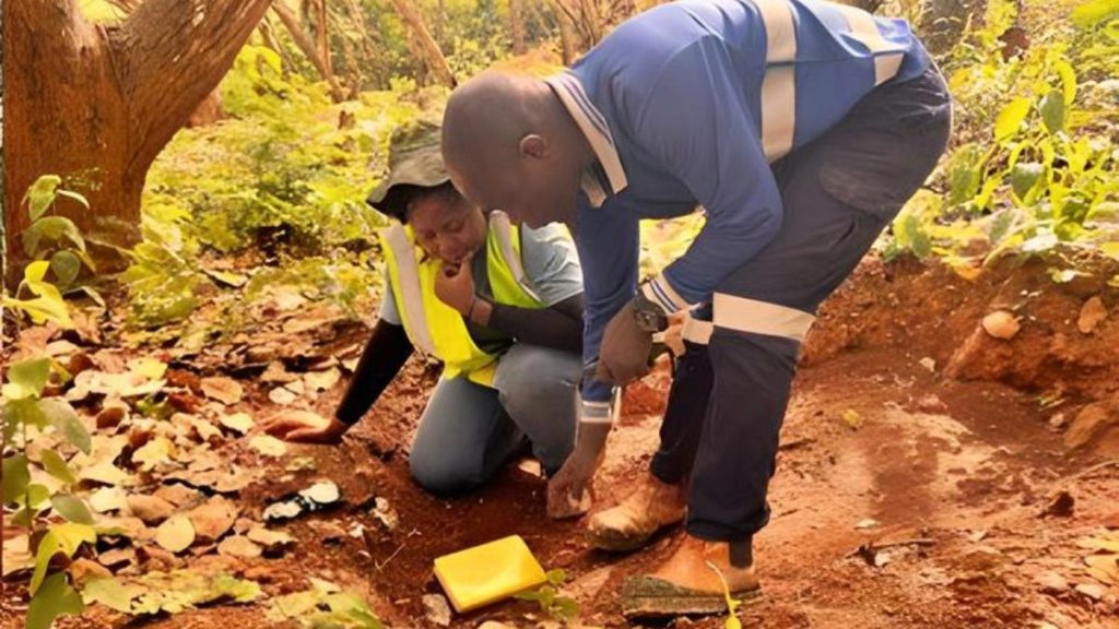 Dalaroo unveils monster 4.3km gold anomaly in West Africa