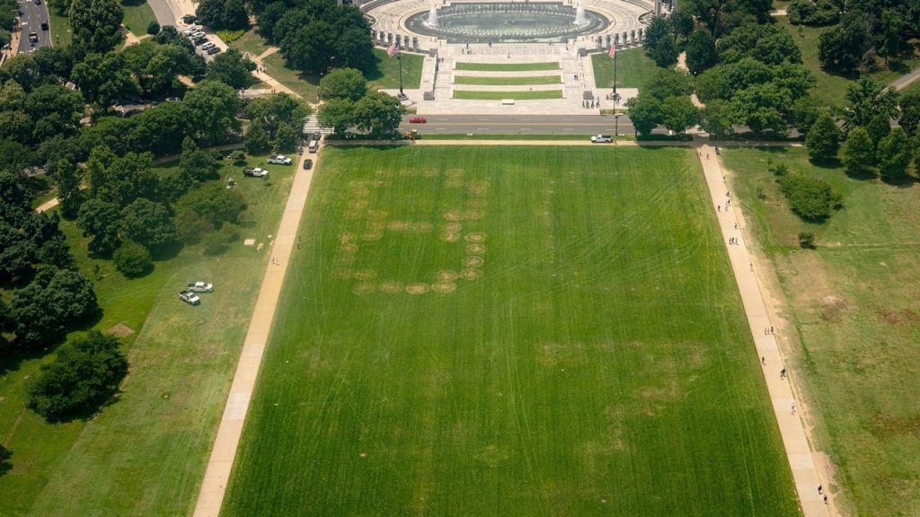 Giant ‘8647’ message etched into National Mall grass prompts investigation