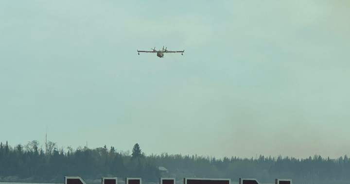 Manitoba communities working on improving wildfire preparation, prevention – Winnipeg