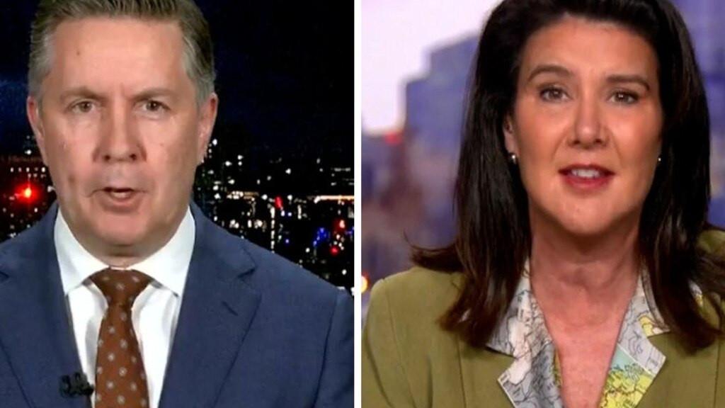 ‘Personal sledge’: Health Minister Mark Butler dismisses One Nation’s anti-Labor fundraiser