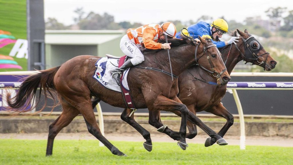 Western Empire approaches final test of winter treble in Group 3 Strickland Stakes at Belmont