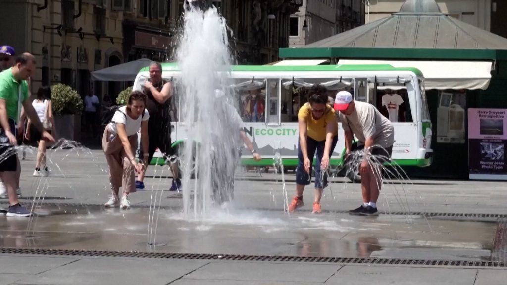 Europe heatwave scorches cities and wildlife | News