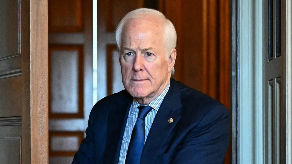 Cornyn predicts misery for Trump in final two years of term
