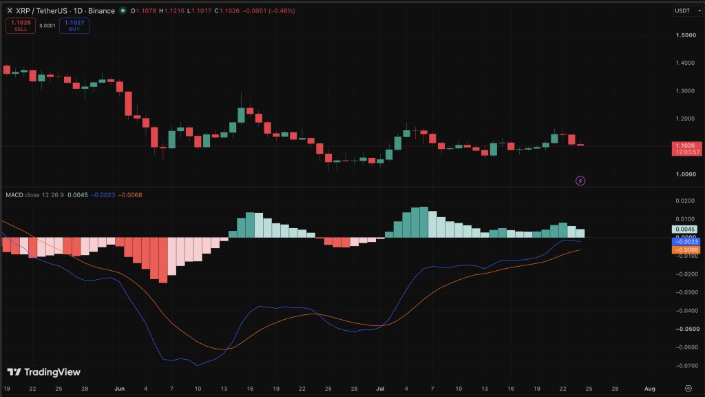 XRP Price Prediction: Ripple Token Spot Demand Hits Highest Since June