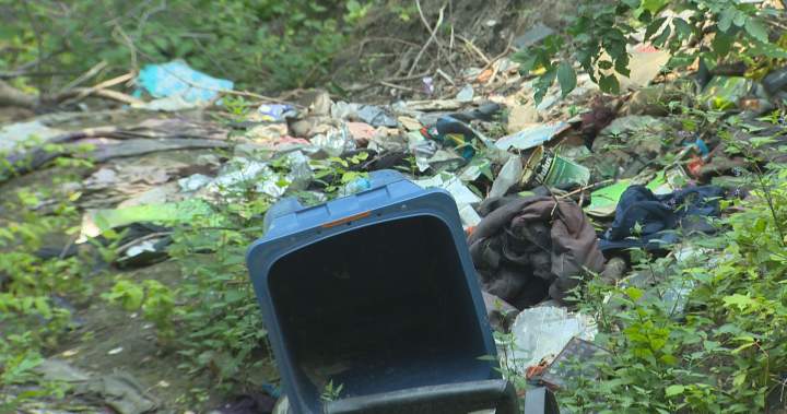 City orders Winnipeg property manager to clean up encampment debris – Winnipeg