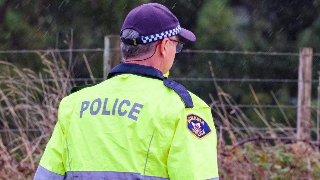 Woman dies after head-on collision with man fleeing alleged DV attack