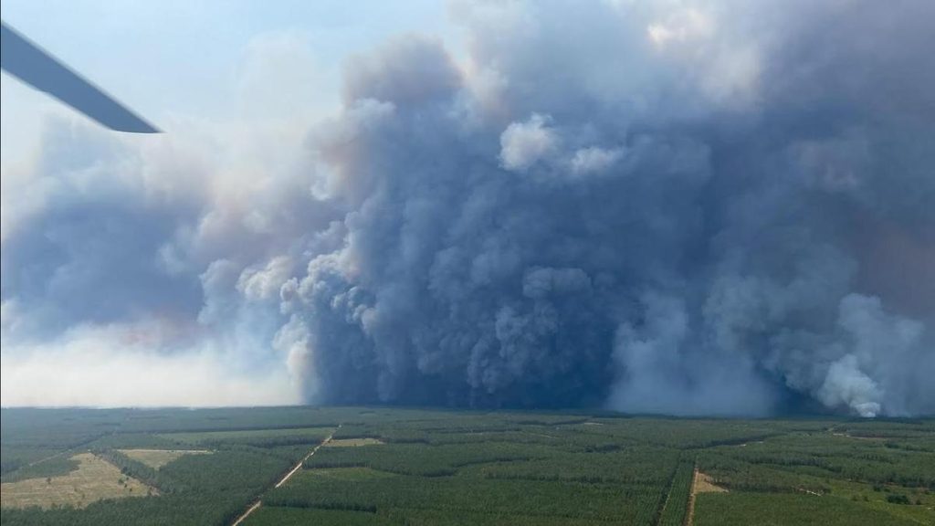 Wildfires approach Bordeaux as man dies in Spain blaze