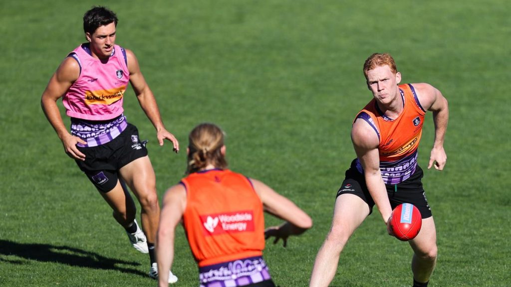 Fremantle defender Hugh Davies talks through life on the edge of Dockers success as strong WAFL form continues