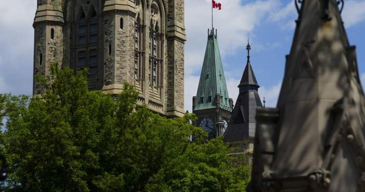 Ottawa blames ‘unclear’ guidance for ‘Lost Canadian’ citizenship recalls – National