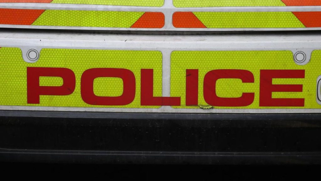 UK police who arrested dying stab victim face probe