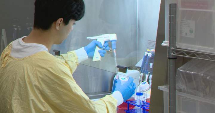 University of Calgary developing new immunotherapy cancer treatment – Calgary