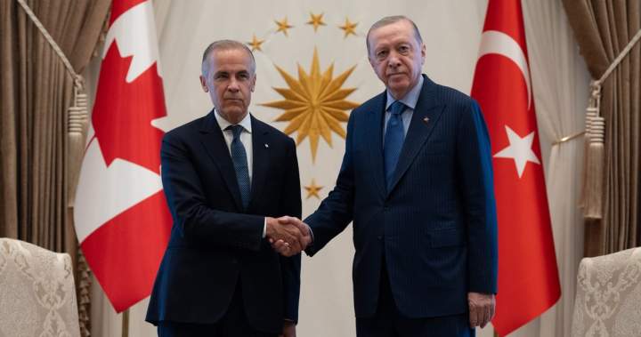 Canada, Turkey launch free-trade agreement talks – National