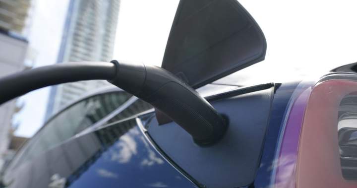 Zero-emission vehicle sales spiked nearly 20% in May, says StatCan – National