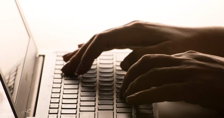 1 in 3 Canadian workers have used generative AI tools, StatCan says – National