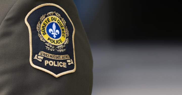 Five-year-old boy dies after being hit by a truck in Quebec’s Gaspé region – Montreal