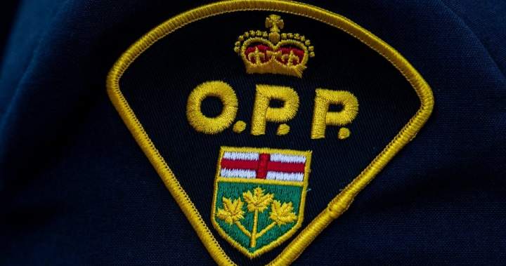 OPP officer charged with assault after North York traffic stop
