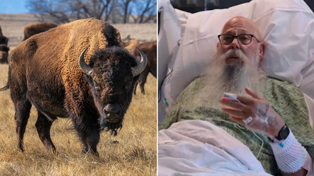 Yellowstone bison attack grandfather speaks out from his hospital bed