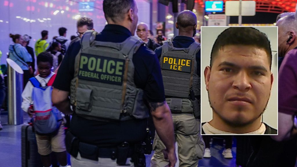 ICE agent fires after illegal immigrant allegedly rams vehicle; suspect at large