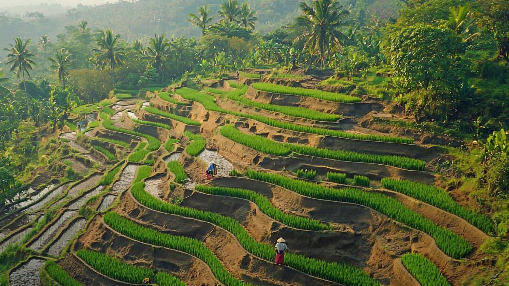 Bali, not just another country