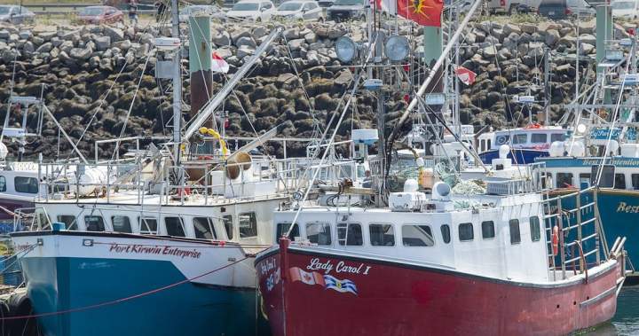 Indigenous lobster fishing: N.S. judge says dispute must be handled by Ottawa – Halifax