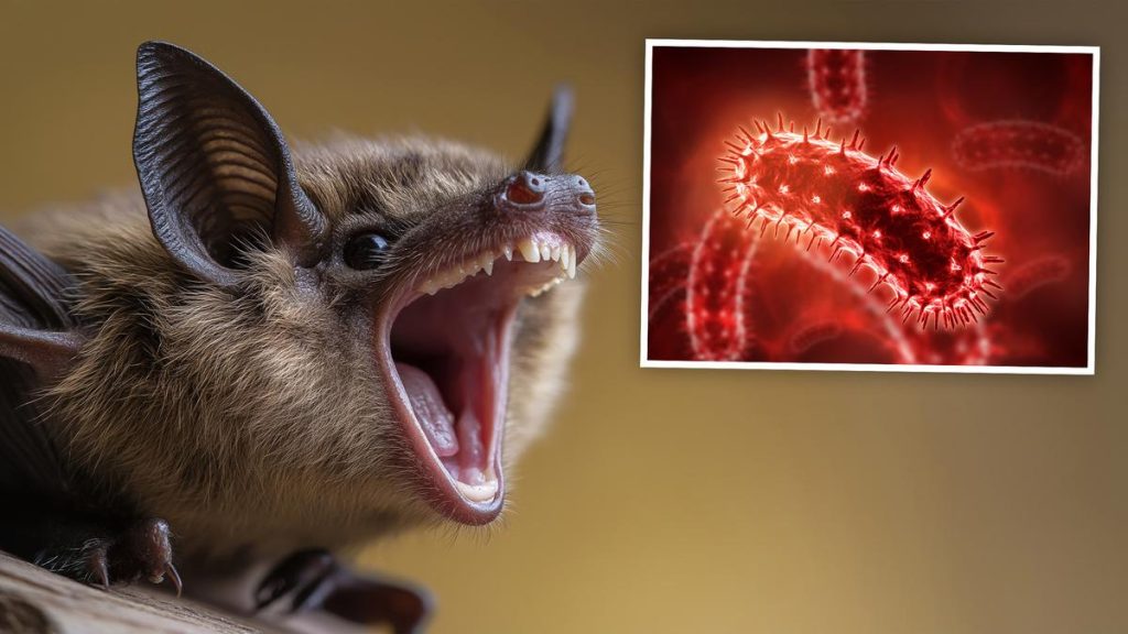 Boy, 11, dies after bat sleeps on his face and gives him rabies virus in Canada