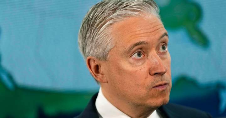Champagne says ‘more details’ will come on annual defence spending plans – National