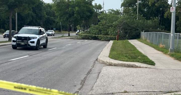 28K Manitoba Hydro customers without power after storm causes ‘extensive damage’ – Winnipeg