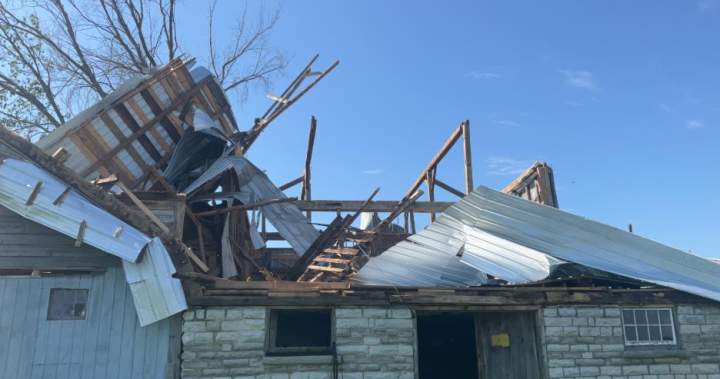 Flattened trees, damaged buildings caused by 2 tornadoes near Kingston: researchers – Kingston