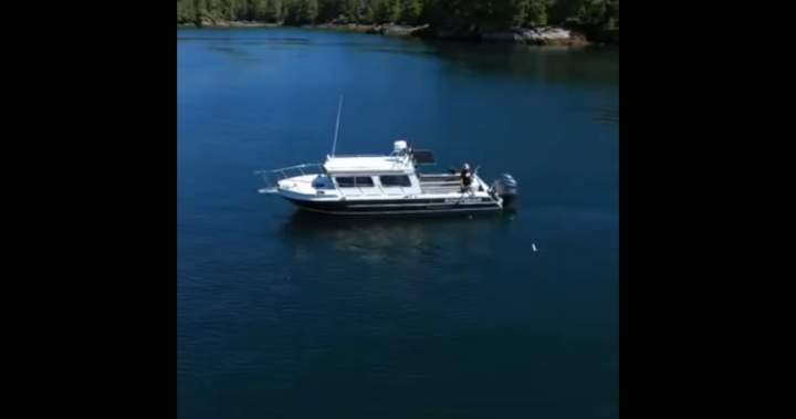 Former owner of sunken B.C. vessel speaks, identifies the boat involved – BC
