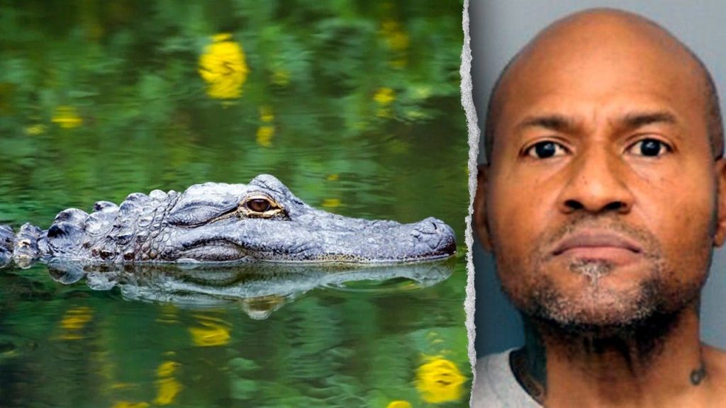 Maryland landlord arrested for assault had guns, alligator and emu on property