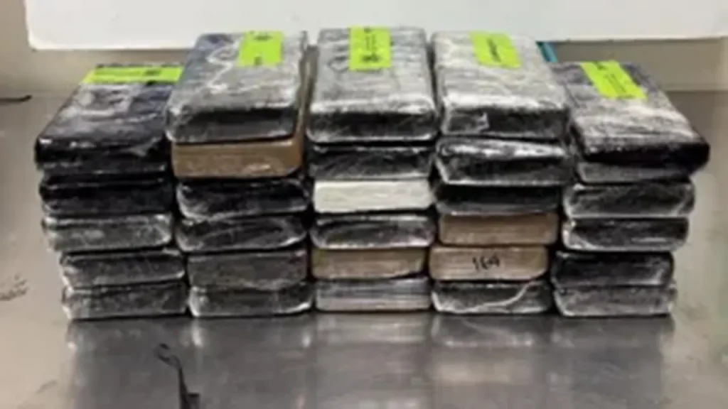 CBP seizes $3.7M cocaine hidden in cucumber shipment at Texas border
